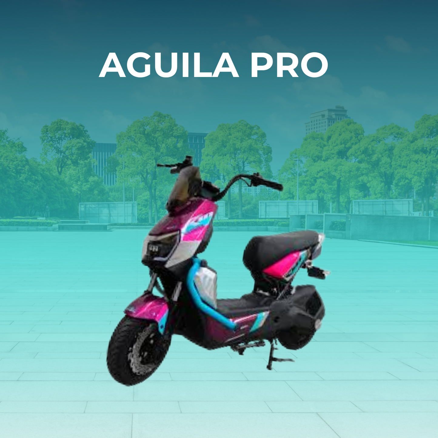 Bicicleta Eléctrica EVOBIKE Águila Pro